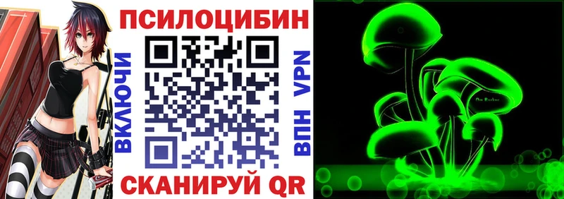 купить  сайты  Черепаново  Галлюциногенные грибы Psilocybine cubensis 