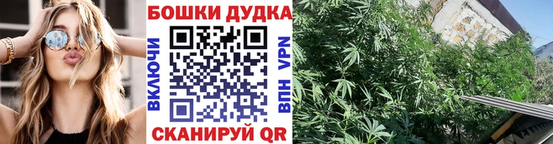 Бошки марихуана гибрид Черепаново